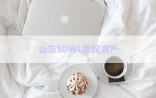 山東SDWL債權(quán)資產(chǎn) 山東SDWL債權(quán)資產(chǎn)
