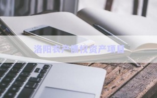 洛陽農(nóng)產(chǎn)債權(quán)資產(chǎn)項目