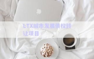 LTX城市發(fā)展債權(quán)轉(zhuǎn)讓項目 LTX城市發(fā)展債權(quán)轉(zhuǎn)讓項目