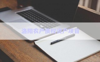 洛陽(yáng)農(nóng)產(chǎn)債權(quán)資產(chǎn)項(xiàng)目