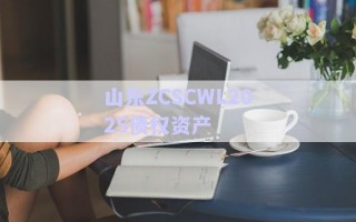 山東ZCSCWL2025債權(quán)資產(chǎn) 山東ZCSCWL2025債權(quán)資產(chǎn)