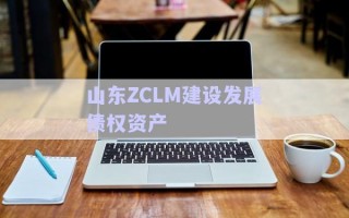 山東ZCLM建設發(fā)展債權資產
