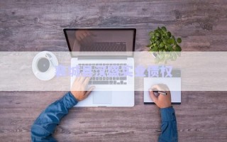 襄城縣漢盛實業(yè)債權(quán)