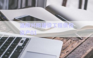 洛陽(yáng)興陽(yáng)建設(shè)工程債權(quán)資產(chǎn)01