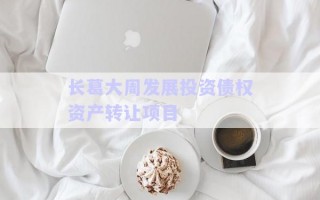 長葛大周發(fā)展投資債權(quán)資產(chǎn)轉(zhuǎn)讓項目