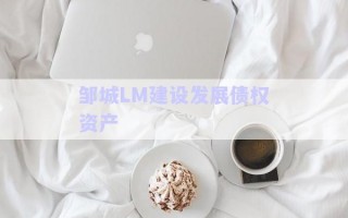 鄒城LM建設發(fā)展債權(quán)資產(chǎn)