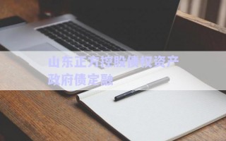 山東正方控股債權資產(chǎn)政府債定融