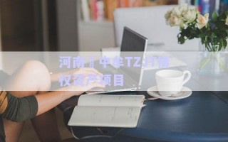 河南?中牟TZJT債權(quán)資產(chǎn)項(xiàng)目