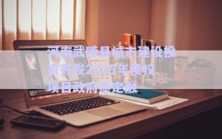 河南武陟縣城市建設(shè)投資開發(fā)2025年債權(quán)項目政府債定融