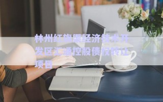 林州紅旗渠經(jīng)濟技術(shù)開發(fā)區(qū)匯通控股債權(quán)轉(zhuǎn)讓項目
