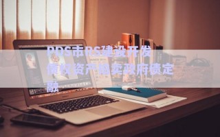 PDS市RS建設(shè)開(kāi)發(fā)債權(quán)資產(chǎn)拍賣(mài)政府債定融