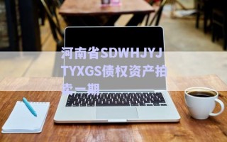 河南省SDWHJYJTYXGS債權(quán)資產(chǎn)拍賣(mài)一期 河南省SDWHJYJTYXGS債權(quán)資產(chǎn)拍賣(mài)一期