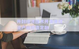 開封經(jīng)濟技術開發(fā)債權資產(chǎn)政府債定融
