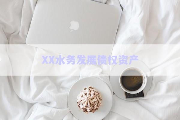 XX水務(wù)發(fā)展債權(quán)資產(chǎn)-第1張圖片-政信固收網(wǎng)