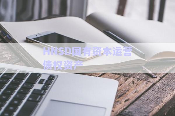 HNSD國(guó)有資本運(yùn)營(yíng)債權(quán)資產(chǎn)-第1張圖片-政信固收網(wǎng)